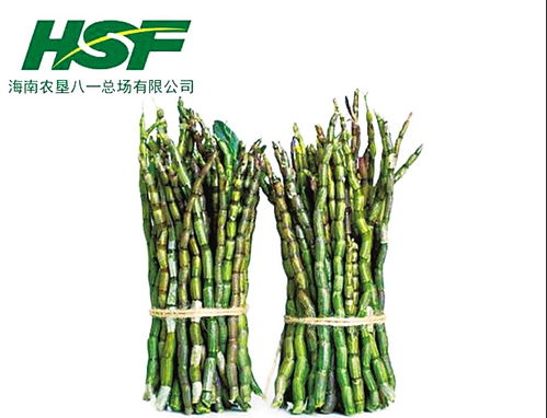 石斛里的边陲小镇 八一农场的绿野仙踪与深情密码