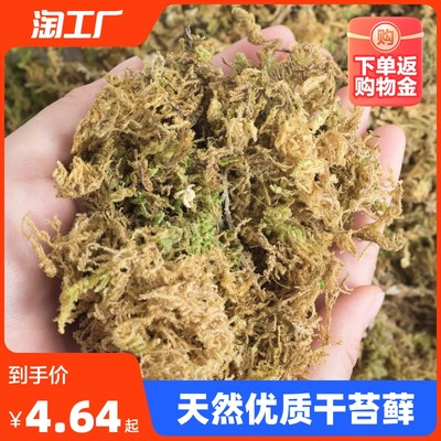 当前网购流行产品